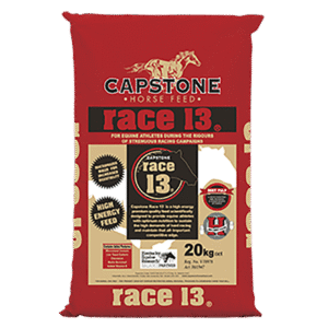 Capstone Race13 20Kg