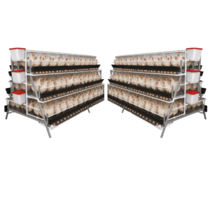 384 Bird Laying Cage