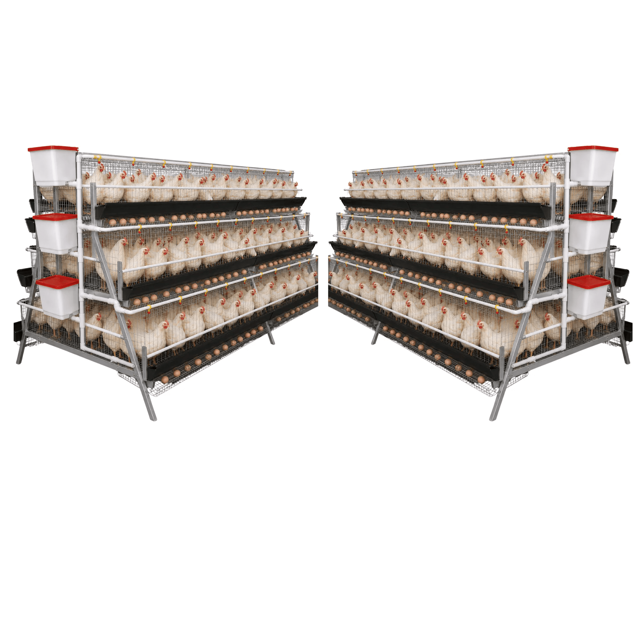 384 Bird Laying Cage