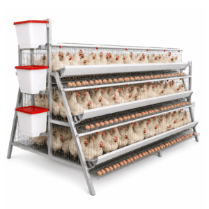96 Bird Laying Cage