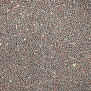 Black Rapeseed 25kg