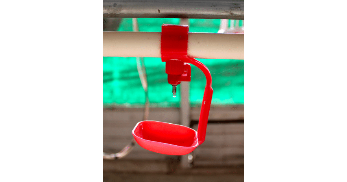 Drippers – Nipple Drinking System - Image 3