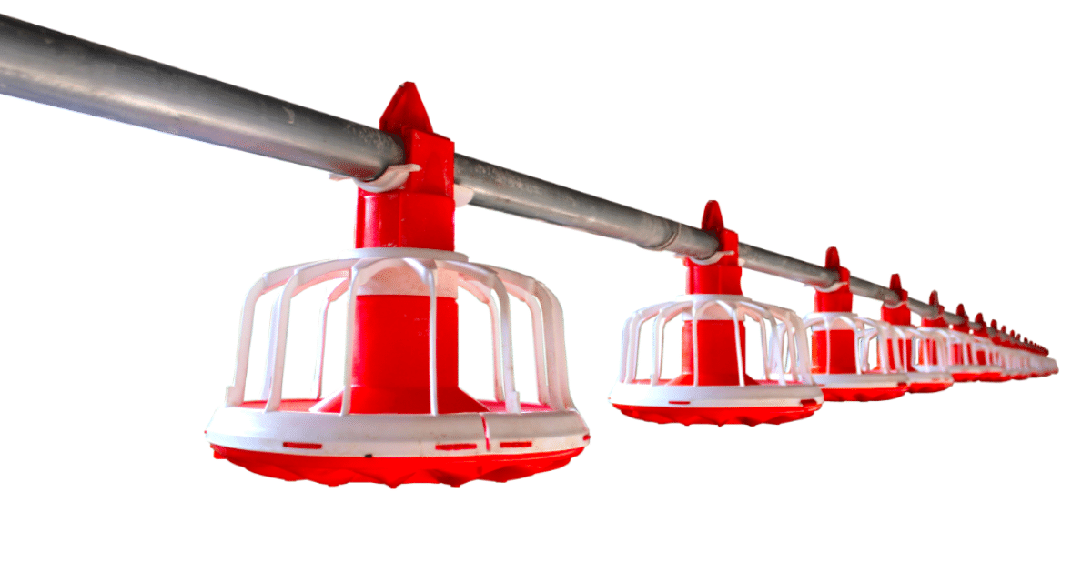 Drippers – Nipple Drinking System