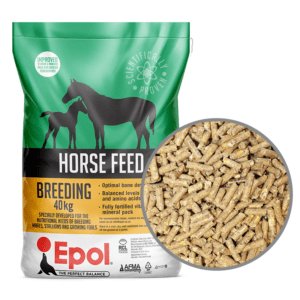 Epol Stud Horse Meal 40kg