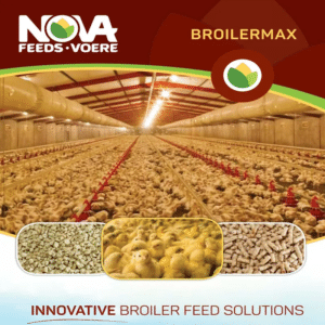 NOVA BROILER MAX FINISHER 50KG