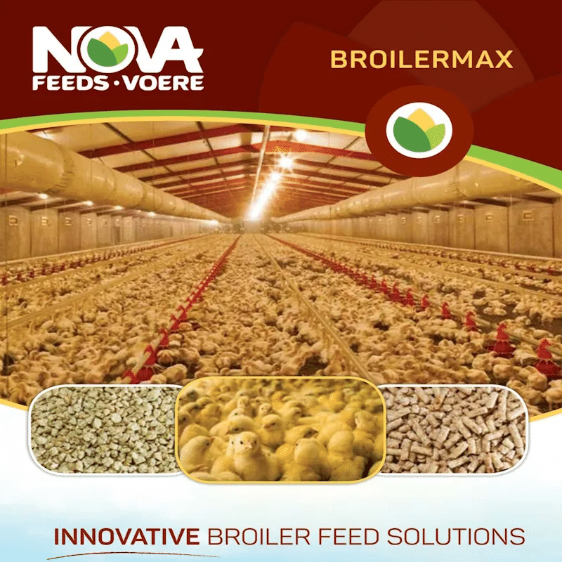 Nova Broiler Max Starter 50kg