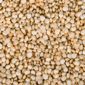 Quinoa