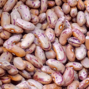 Red Speckled Sugar Beans