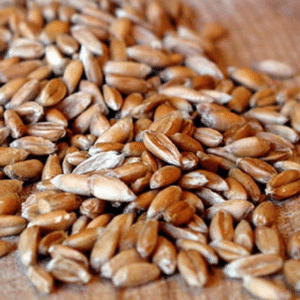 Sunflower Seed Dehulled