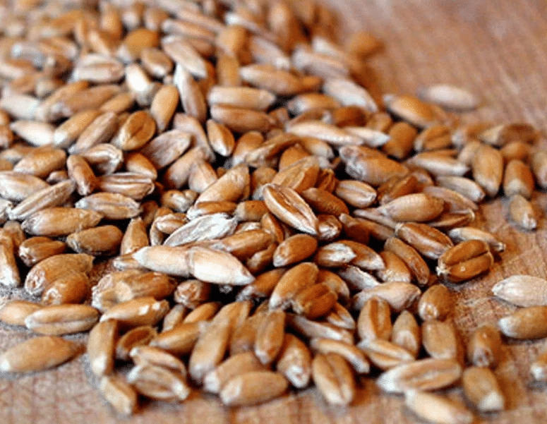 Sunflower Seed Dehulled