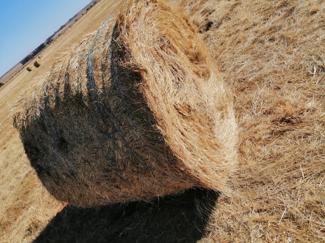 +/- 200kg Big Pack Teff Block